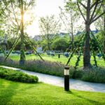 Greener Grass Landscaping: Creating Beautiful and Sustainable Outdoor Living Spaces
